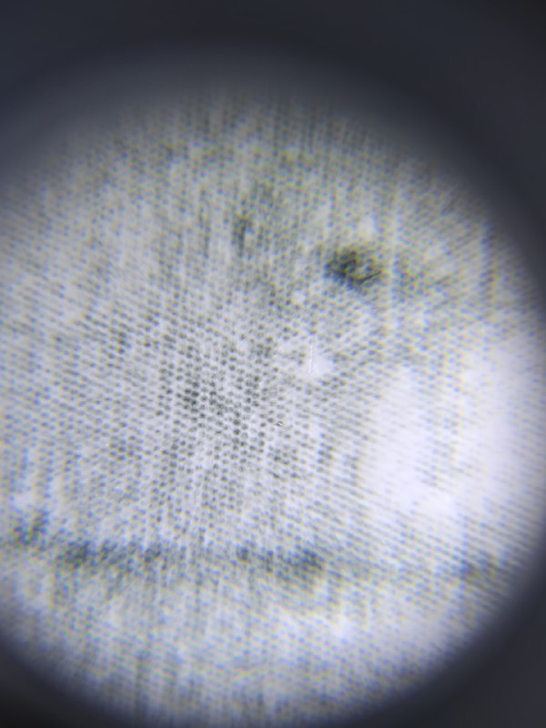 用热敏打印机打印照片刚在闲鱼上，以 38 元购买了台啵哩 Poooli L2 Pro，它原价 450 左右，发售于 2019年12月