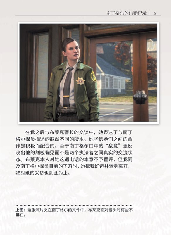 《The Alan Wake Files》是《心灵杀手限量典藏版》附带的一本书，由游戏中的一个经历这件事的人编写，就像是在 特别的故事叙述类型 中提过的《双峰：神秘史》一样，书中有收集了笔记、手稿、采访内容以及照片等零碎的内容，侧面对主角 Alan Wake 的行动进行了描写